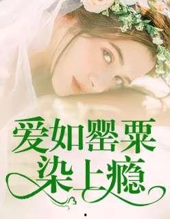 上瘾在线观看免费,免费在线观看，解锁心瘾之旅  第3张